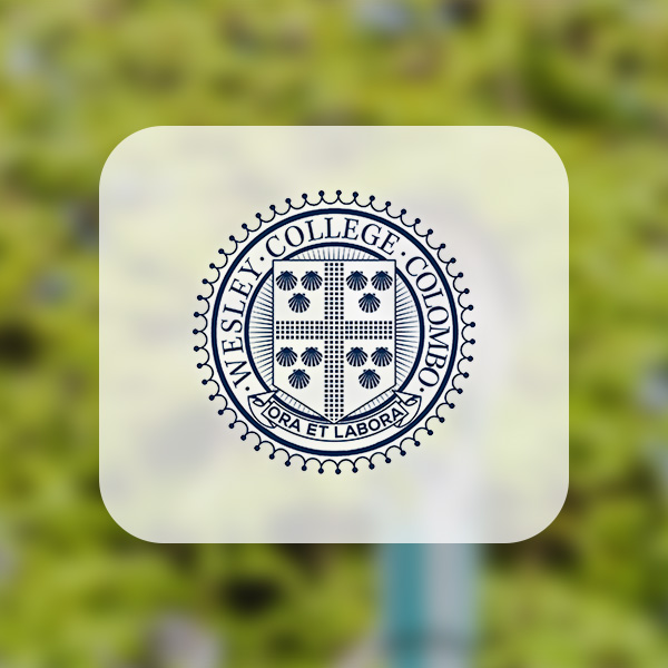 CCTV Wesley Collage Logo