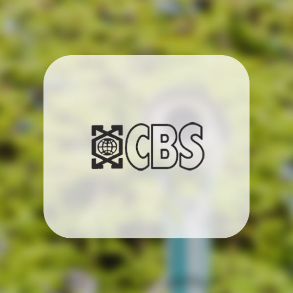 CCTV Cbs.com Logo