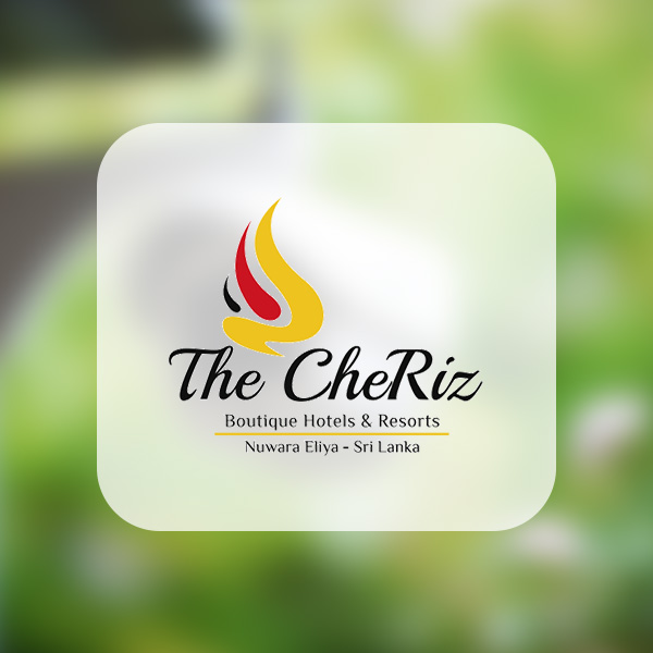 CCTV Cheriz Logo